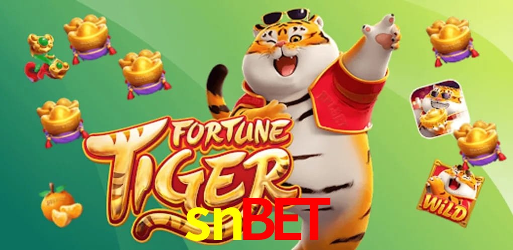 Experiência VIP snbet