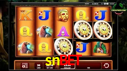 Descubra o Mundo do Cassino Online com snbet